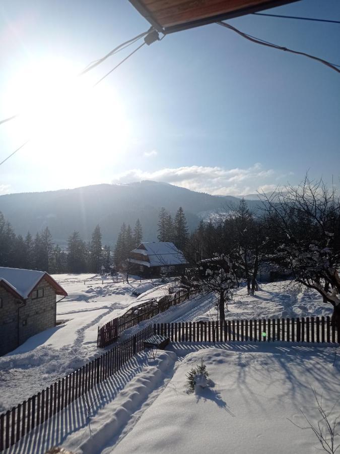 Сімейний Котедж Краєвид Mykulychyn Buitenkant foto