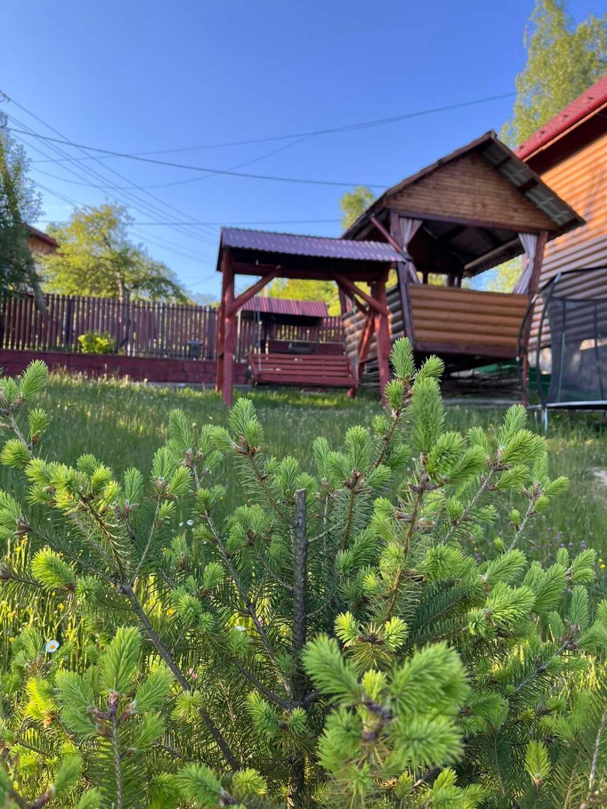 Сімейний Котедж Краєвид Mykulychyn Buitenkant foto
