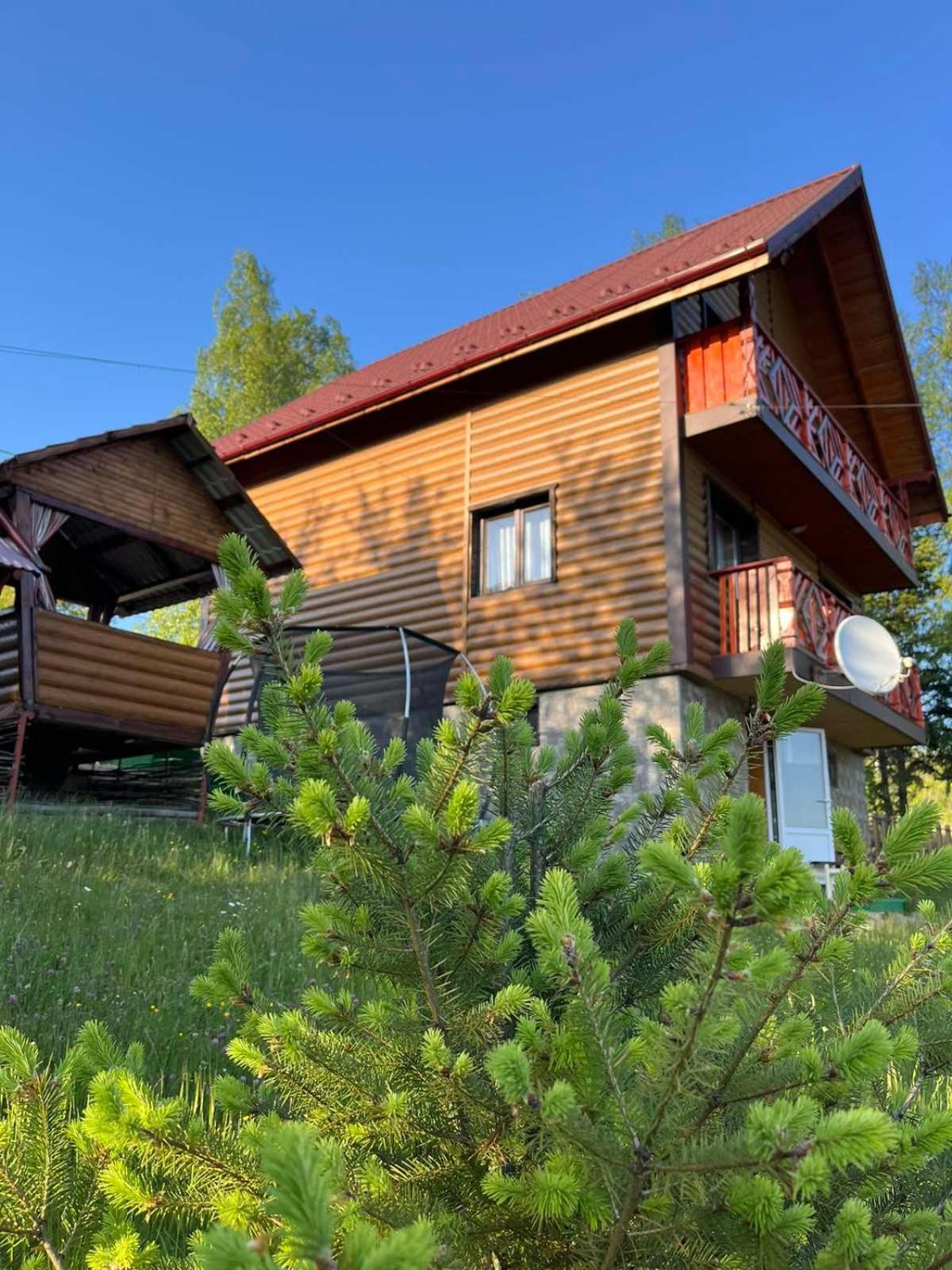 Сімейний Котедж Краєвид Mykulychyn Buitenkant foto