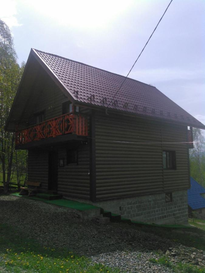Сімейний Котедж Краєвид Mykulychyn Buitenkant foto